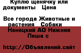 Куплю щенячку или документы › Цена ­ 3 000 - Все города Животные и растения » Собаки   . Ненецкий АО,Нижняя Пеша с.